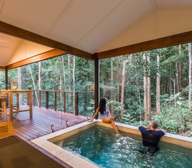 A secluded wooden luxury cabin surrounded by dense green rainforest and palm trees in Queensland.