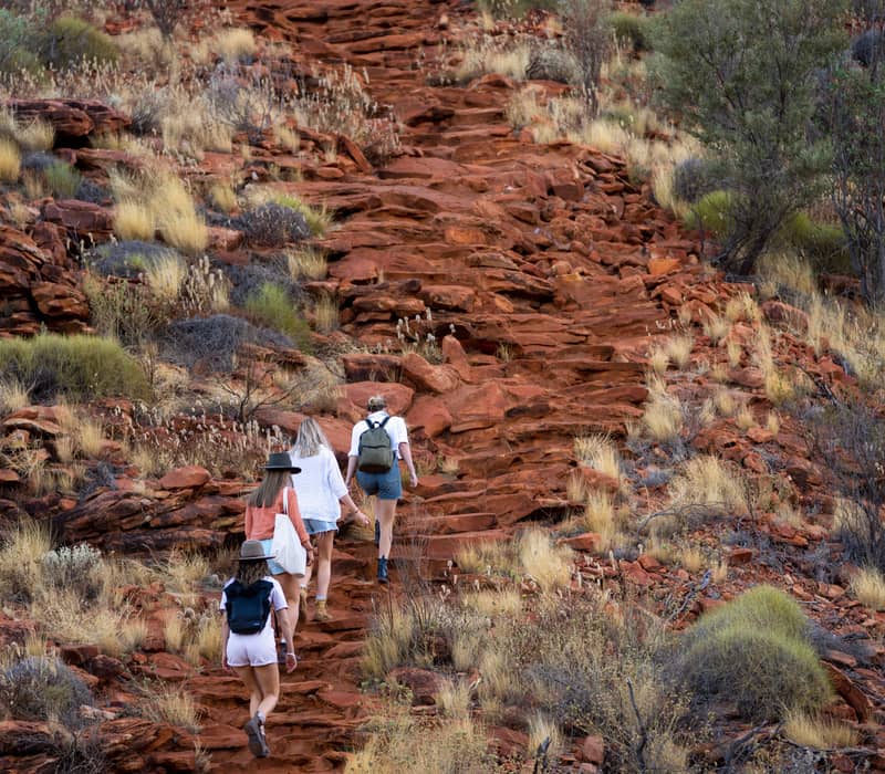 Four hikers with backpacks climb a steep, rocky trail made of red sandstone blocks, surrounded by dry desert vegetation under soft daylight.
