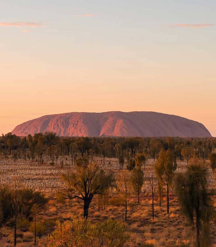 Uluru illuminated by the soft light of sunrise, surrounded by desert landscape.