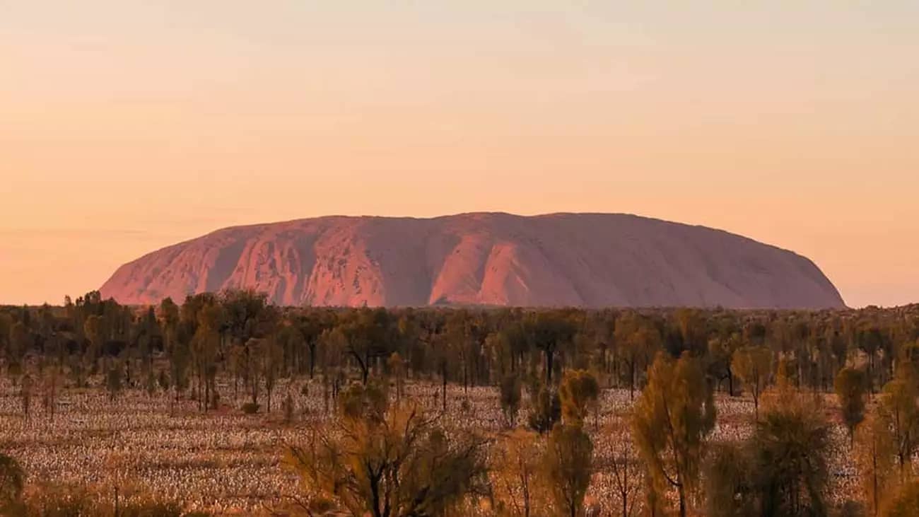 Uluru illuminated by the soft light of sunrise, surrounded by desert landscape.