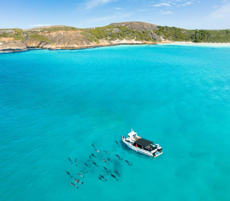 Aerial view of a cruise boat and dolphins in the vibrant blue waters of the Recherche Archipelago, Esperance.