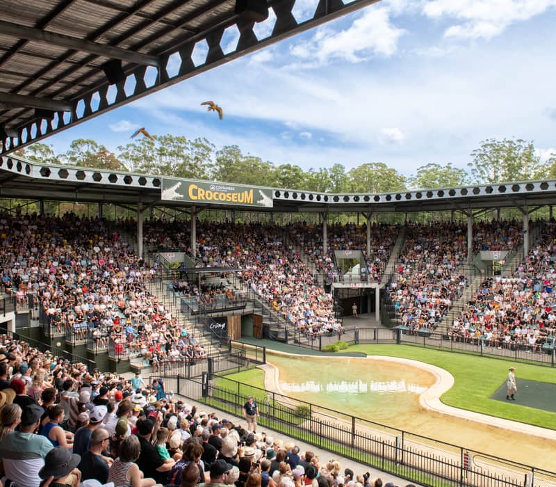 The Crocoseum stadium at Australia Zoo filled with people watching a live crocodile show.