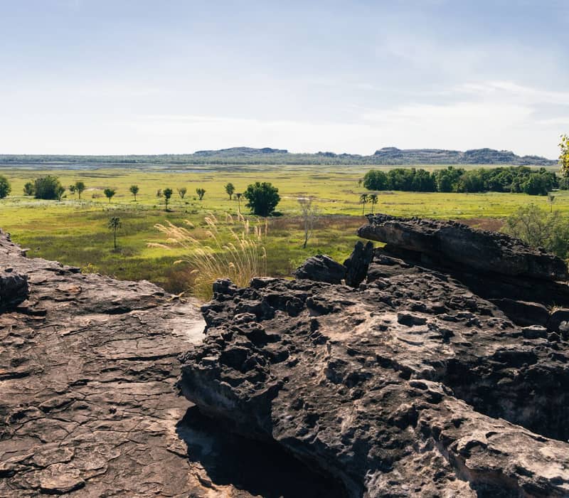 View from a high rocky lookout over a vast green and yellow floodplain with scattered trees and distant hills under a hazy sky.