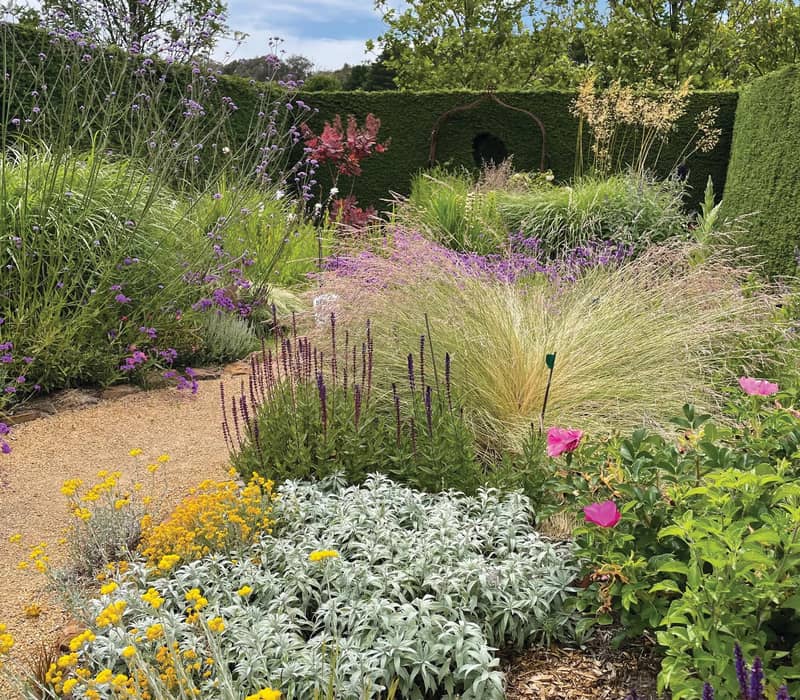 Colorful private garden with flowers, lush greenery, and hedges in Victoria.