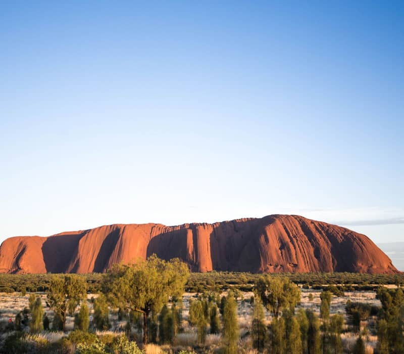 A wide panoramic shot of the massive red sandstone monolith of Uluru centered in a flat landscape of desert trees and spinifex.