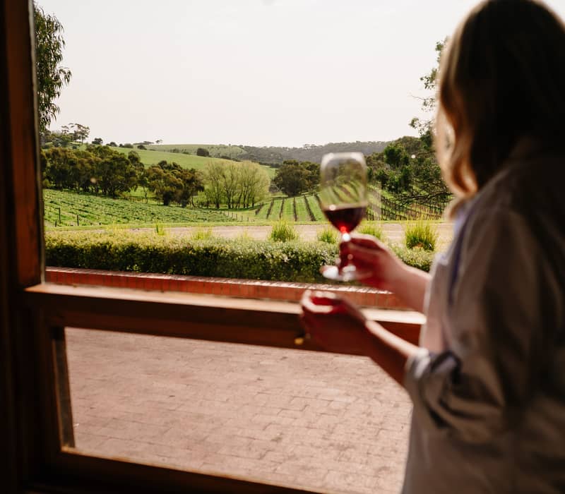 A person holding a glass of red wine inside a building, looking through a window at green hills and vineyards.