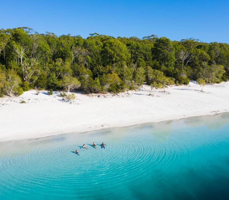 Drone shot of people swimming in a clear blue perched lake with white silica sand and lush green forest on K'gari.