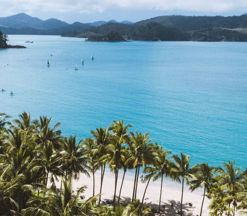 Tall palm trees line the white sands of Catseye Beach on Hamilton Island, overlooking the bright blue waters of the Whitsundays in Queensland.