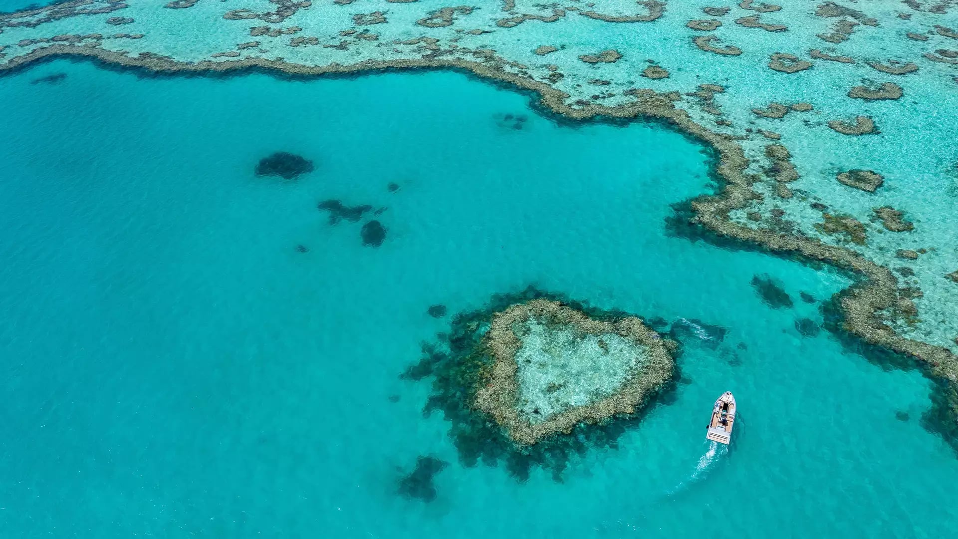 An aerial view captures the natural heart-shaped coral formation known as Heart Reef in the crystal-clear turquoise waters of the Whitsundays.