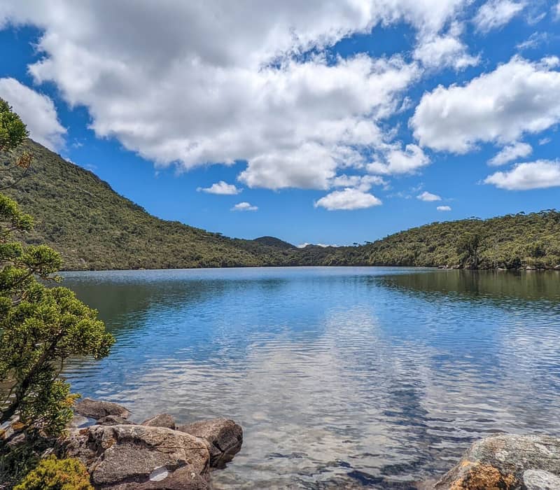 A wide scenic view of a still, clear blue lake surrounded by low-lying green alpine forest and rocky mountain slopes.