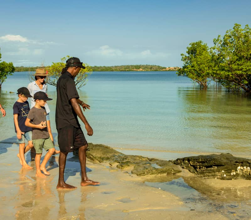An Indigenous guide leading a family on a walking tour through shallow coastal waters and mangroves.