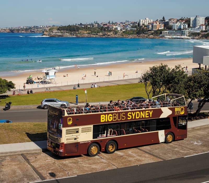 High-angle view of a Big Bus Sydney double-decker bus parked next to Bondi Beach with surfers in the ocean.