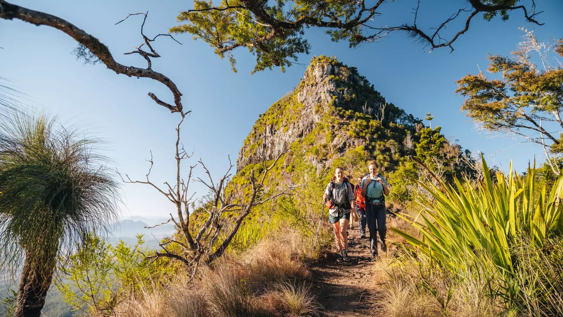Hikers walking toward the camera on a dusty mountain trail framed by tree branches in the Scenic Rim.