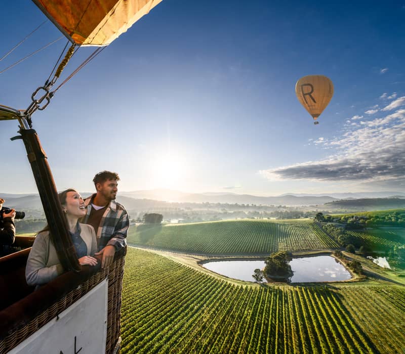 Two people in a hot air balloon basket looking out over vast green vineyard rows with other balloons in the sky.