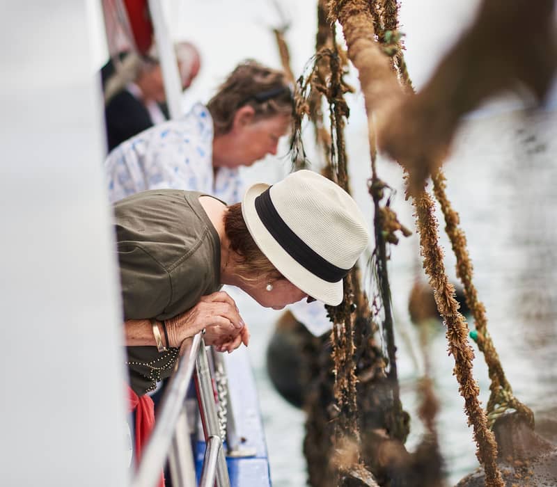 A woman in a sun hat leaning over the railing of a boat to look at mussel ropes pulled from the water.