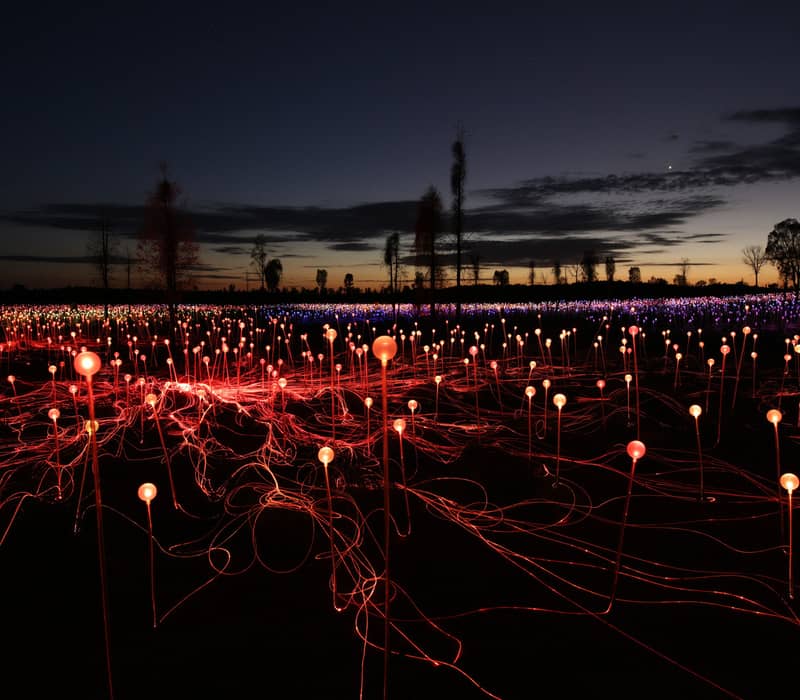 Glowing orange and purple glass spheres on slender stems in the desert at dusk with a dark horizon.