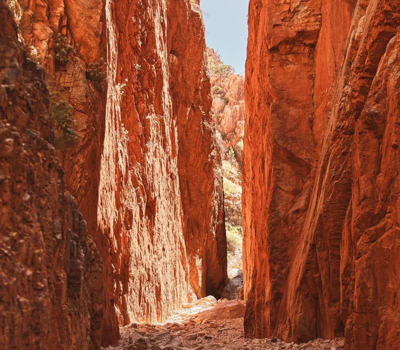 A vertical shot looking down a narrow, rocky path between two massive, sheer red rock cliffs that stretch high into a clear blue sky.