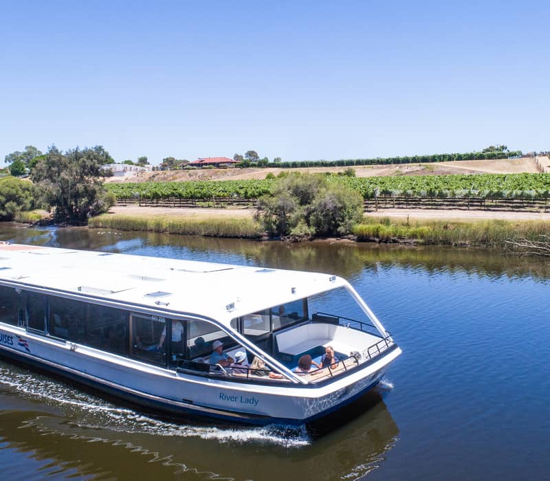 An aerial view of a white cruise boat on a calm river passing green vineyard rows under a bright blue sky.