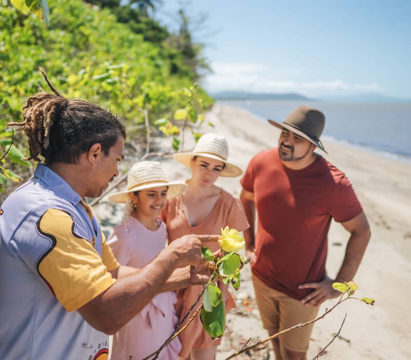 An Indigenous guide showing a yellow flower to a family on a beach tour in Mossman, Queensland.