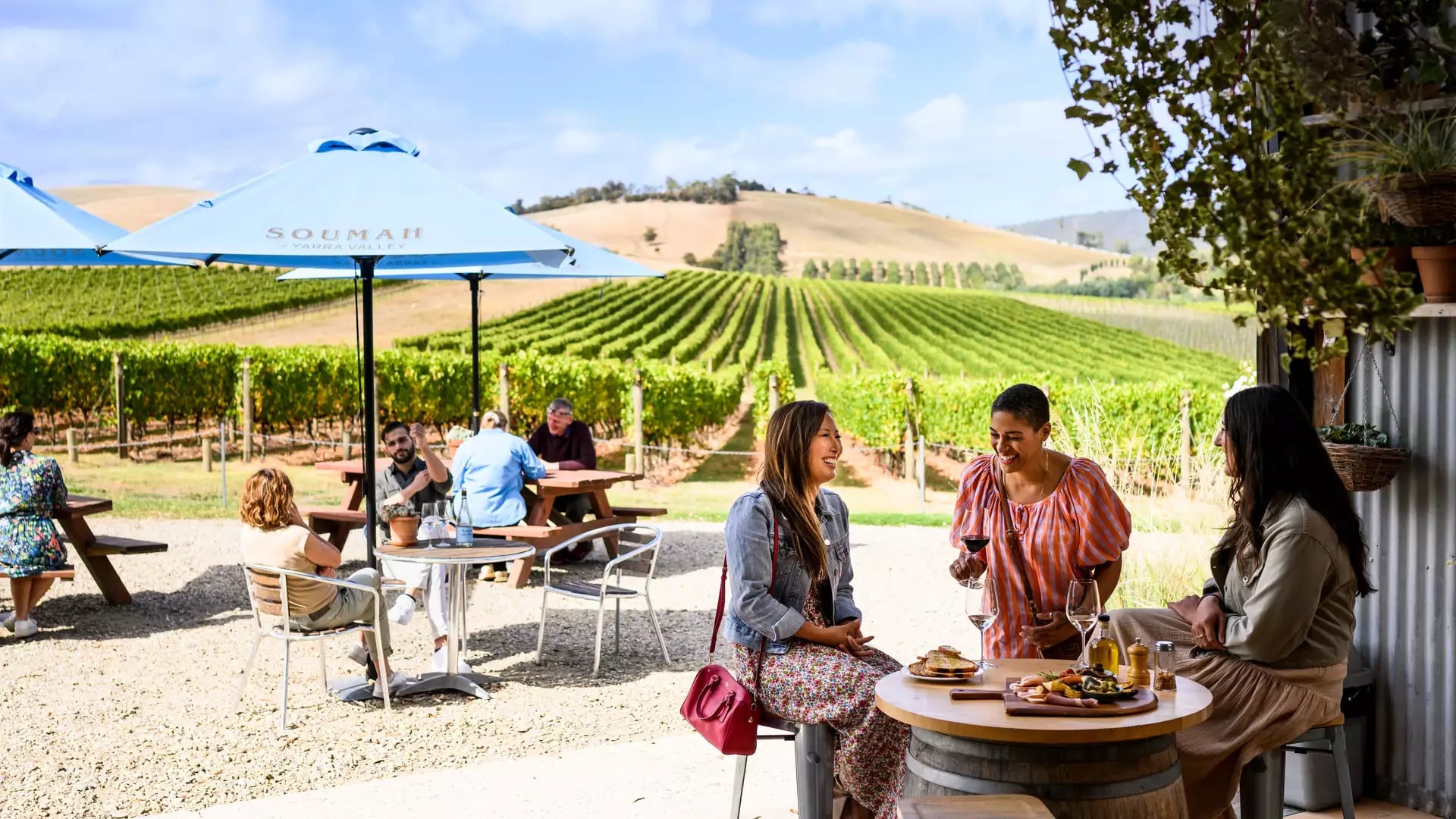 Three women sitting at a table outdoors at a winery, laughing and drinking wine with views of a green vineyard.