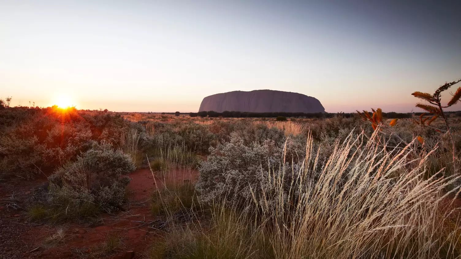 Vibrant sunrise over the red desert landscape with the silhouette of Uluru on the horizon.