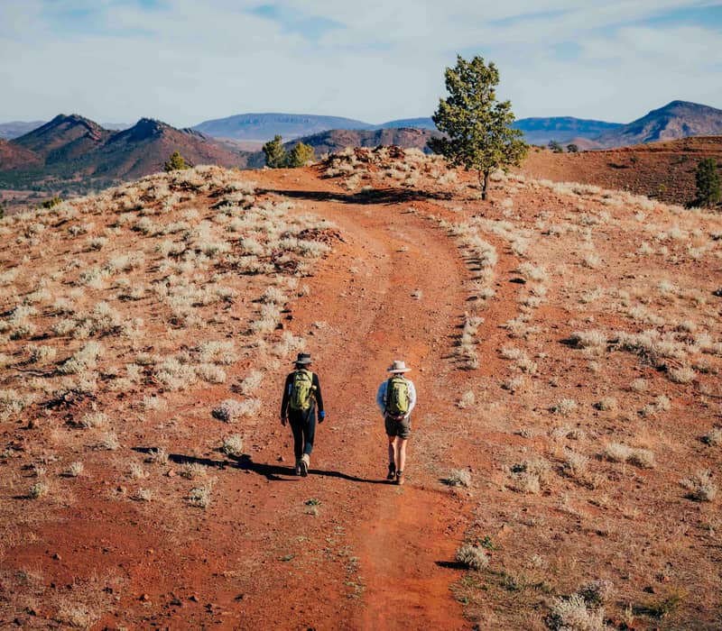 Hikers traversing the rugged, ancient ridges of the Ikara-Flinders Ranges National Park, enjoying a moderate-to-challenging trail with panoramic views of the 800-million-year-old natural amphitheatre.