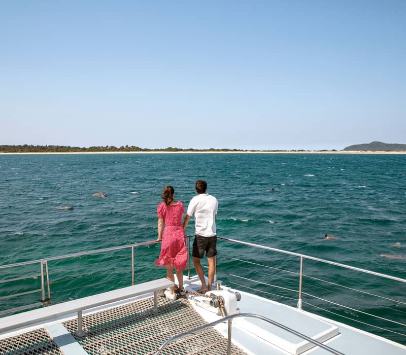 A couple standing on the deck of a boat looking out at dolphins in the water at Port Stephens.