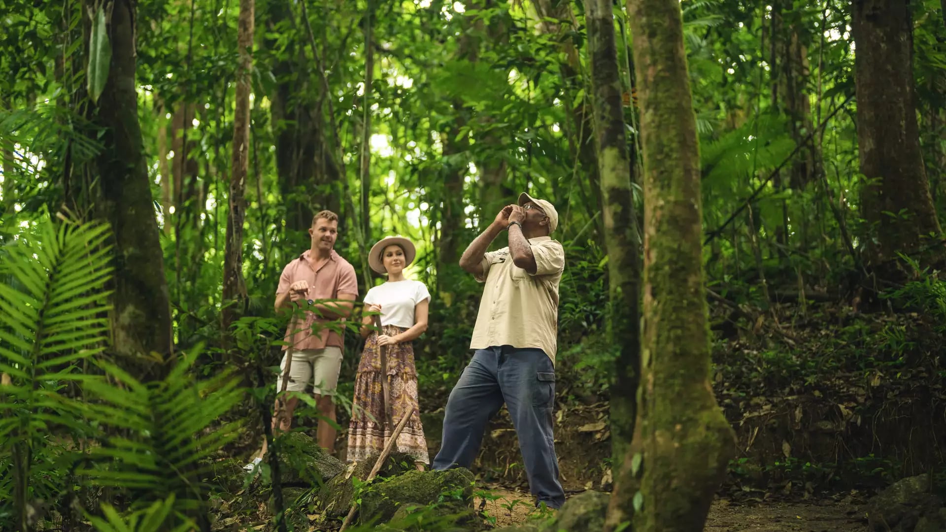 A tour guide leading a couple through the dense tropical ferns of the Daintree Rainforest at Mossman Gorge.