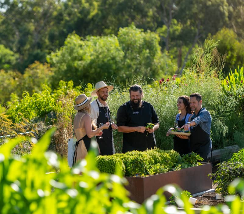 People gathered around a raised garden bed at St Hugo Barossa Valley for a farm-to-table culinary experience.