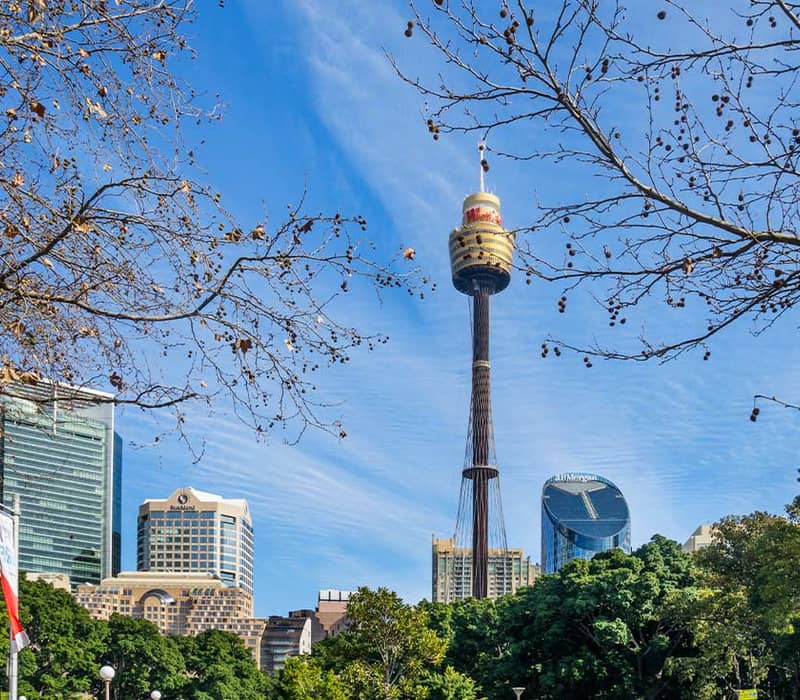 Sydney Tower Eye with city skyline and trees under a blue sky.