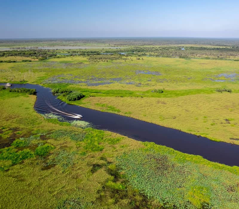 A sweeping aerial perspective of the winding Yellow Water (Ngurrungurrudjba) billabong, a world-class wetland teeming with birds and crocodiles.