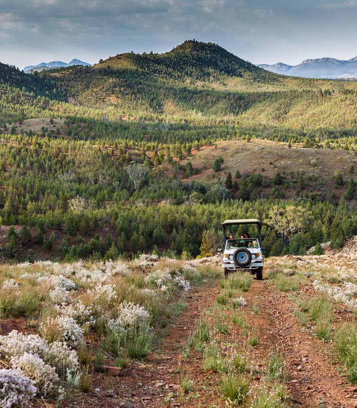 wild-bush-luxury-arkaba-homestead-safari-flinders-ranges-south-australia