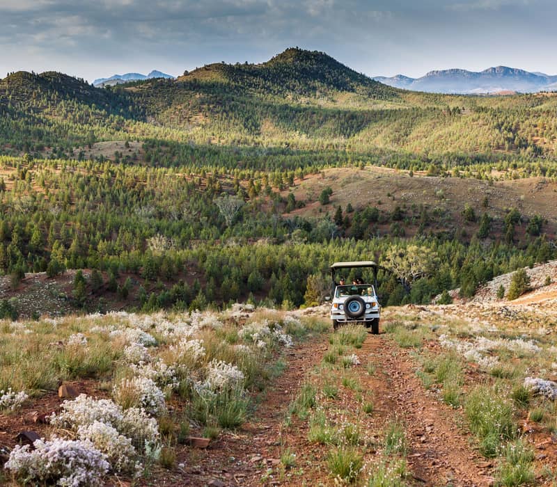 wild-bush-luxury-arkaba-homestead-safari-flinders-ranges-south-australia