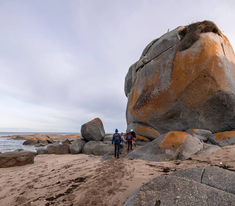 People walking past a towering granite rock covered in orange lichen on a beach.