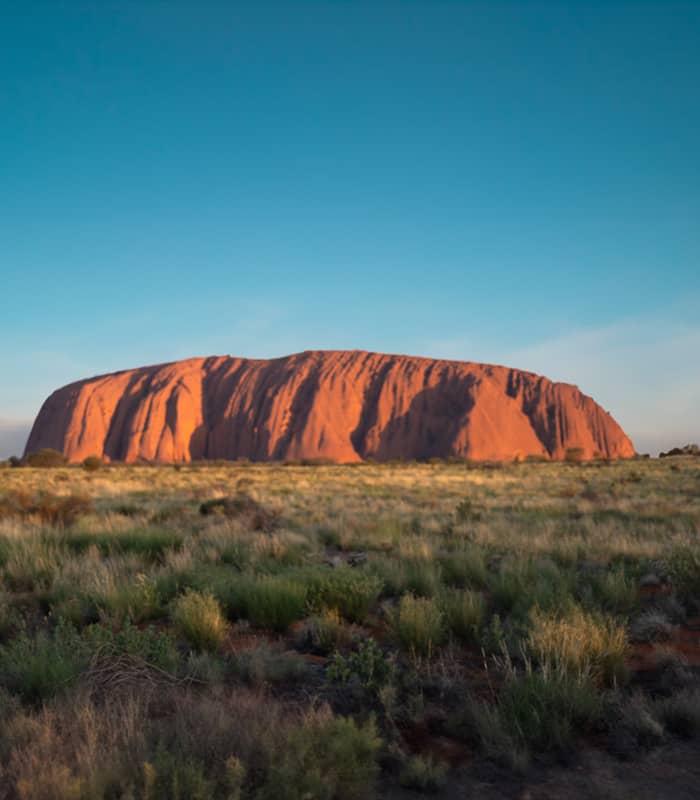 A wide panoramic shot of the entire Uluru monolith standing alone in the desert. The rock is illuminated in bright orange-red light, with low-lying green and yellow desert scrub in the foreground under a clear, pale blue sky.