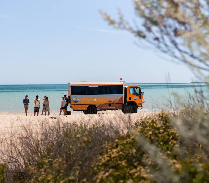 A 4WD tour vehicle on a sandy beach with tourists standing nearby looking at the turquoise ocean.