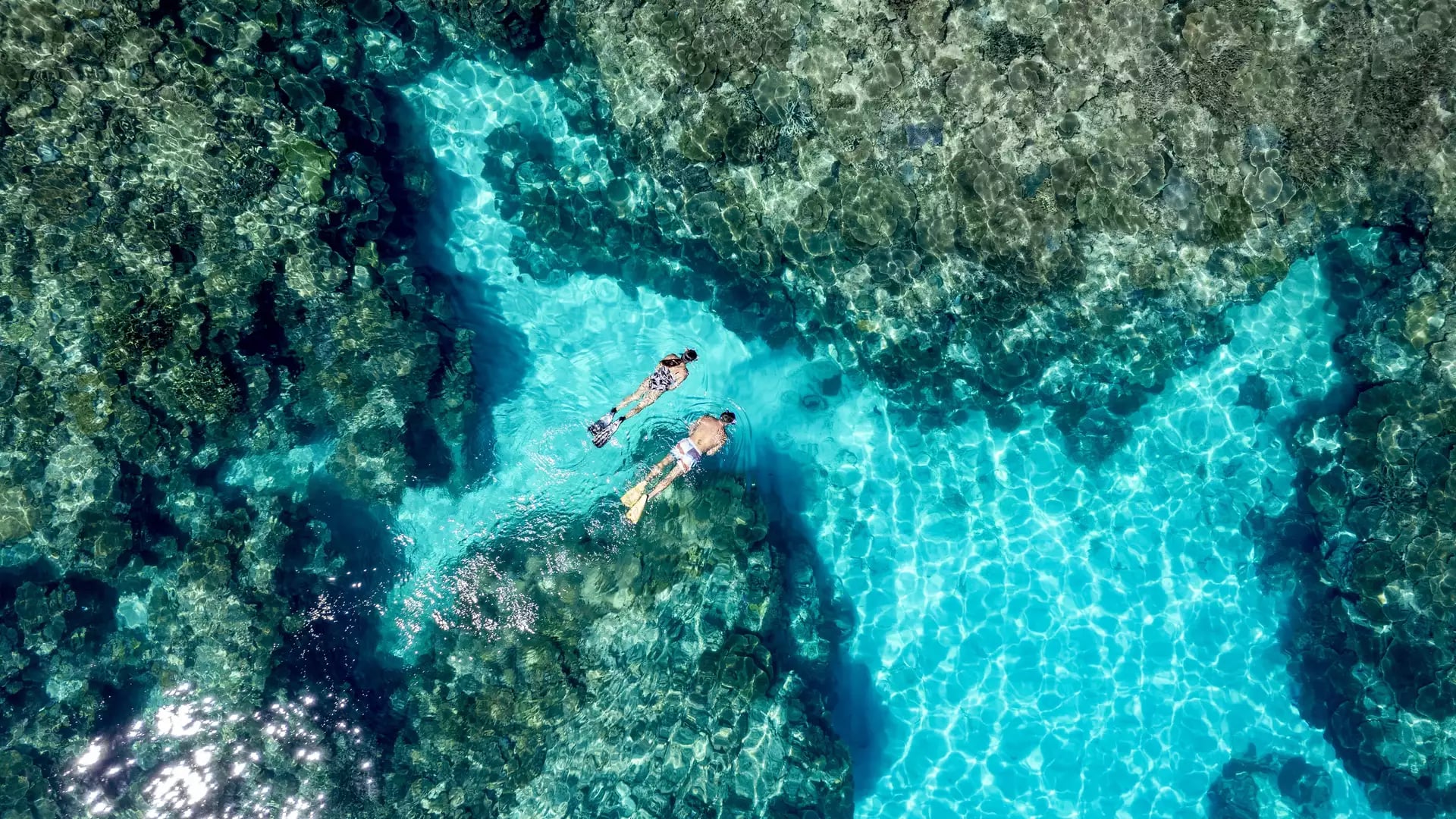 Top-down aerial view of two people snorkelling in the crystal-clear turquoise waters of the Heron Island reef flats.