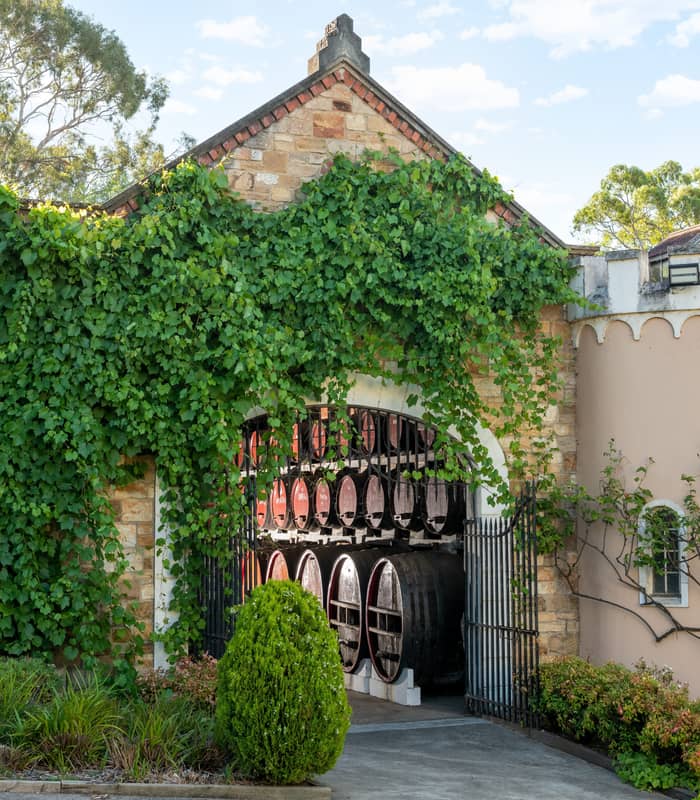 The ivy-covered historic entrance of Chateau Yaldara winery.