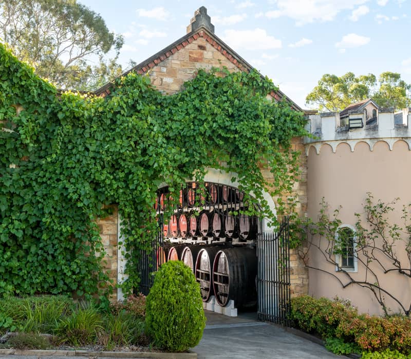 The ivy-covered historic entrance of Chateau Yaldara winery.