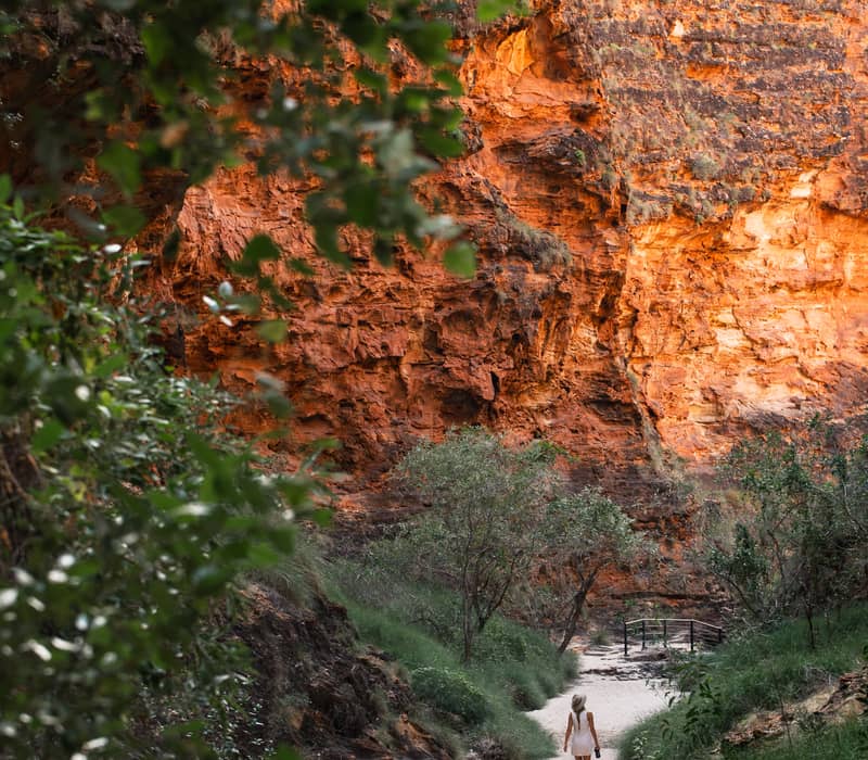A hiker follows a white sandy path through the base of a verdant valley, leading toward the massive, ancient orange-layered walls of the Bungle Bungle Range.