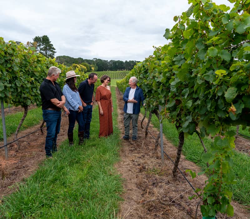 Five people standing in a row between green vineyard vines during a sunny winery tour in Orange, NSW.