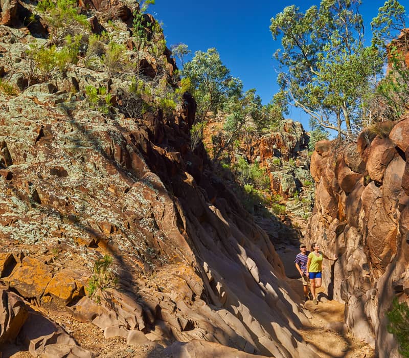 Two people hiking a trail through a rocky gorge in Sacred (Parachilna) Gorge, Flinders Ranges, South Australia