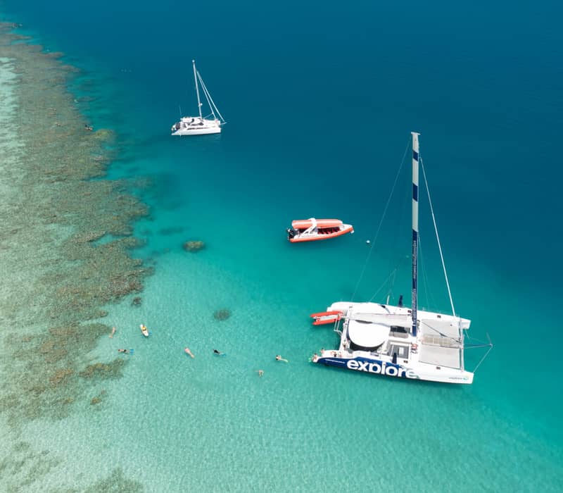Aerial view of a white catamaran and snorkelers in crystal clear turquoise water next to a coral reef.