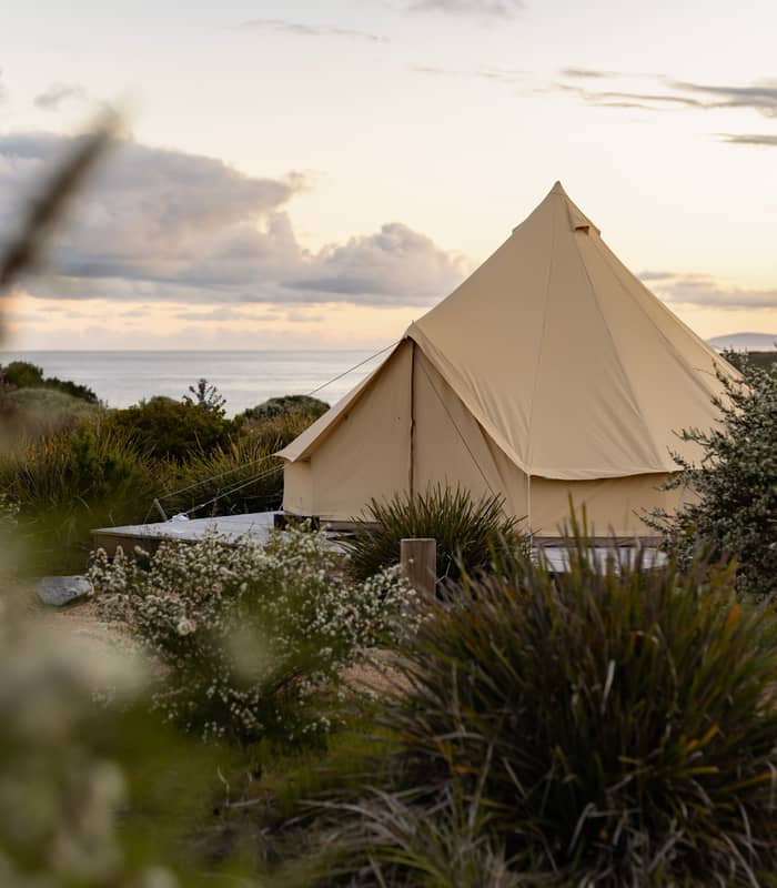 A cream-colored canvas bell tent stands on a raised wooden platform amidst low-lying coastal shrubs and native grasses. In the background, a soft sunset glows through a layer of clouds over the distant ocean horizon.