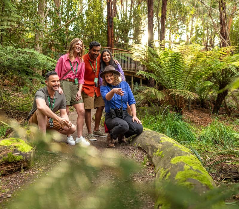 A tour guide crouching with a group of four travelers on a forest path surrounded by green tree ferns.