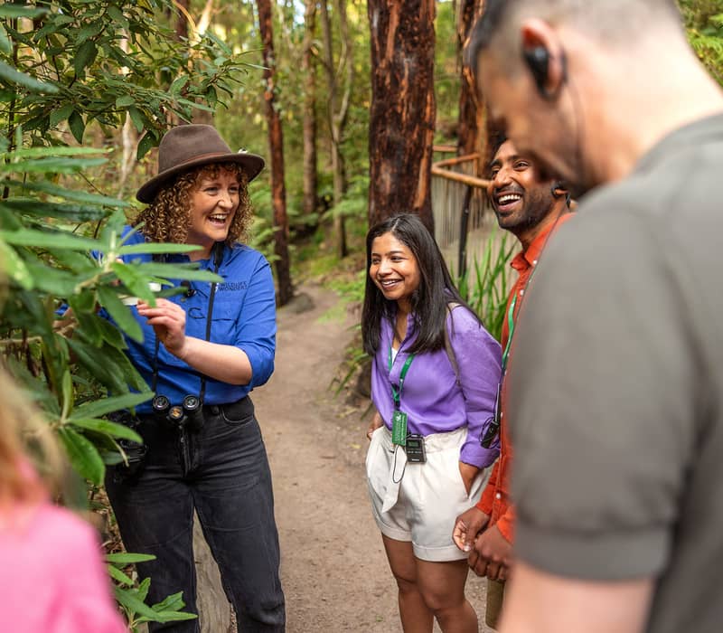 A smiling female tour guide in a brown hat pointing out plant species to an interested group of young travelers.
