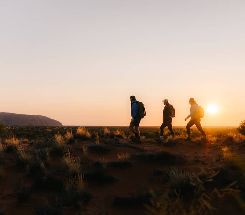 People hiking through the desert at sunrise with Uluṟu visible on the horizon.