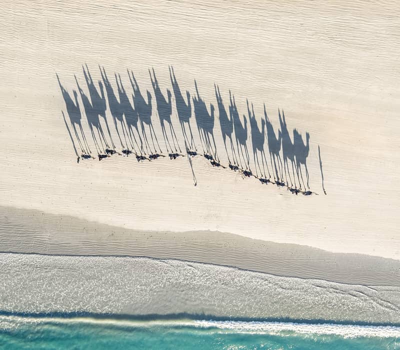 A mesmerizing high-altitude aerial shot of the iconic Broome camel train, with long shadows cast across the pristine white sands of Cable Beach.
