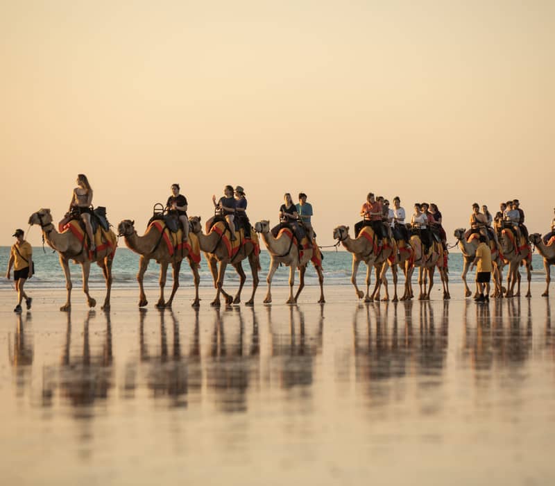 A long line of camels carrying tourists strolls along the shoreline of Cable Beach during the golden hour, reflected in the wet sand.