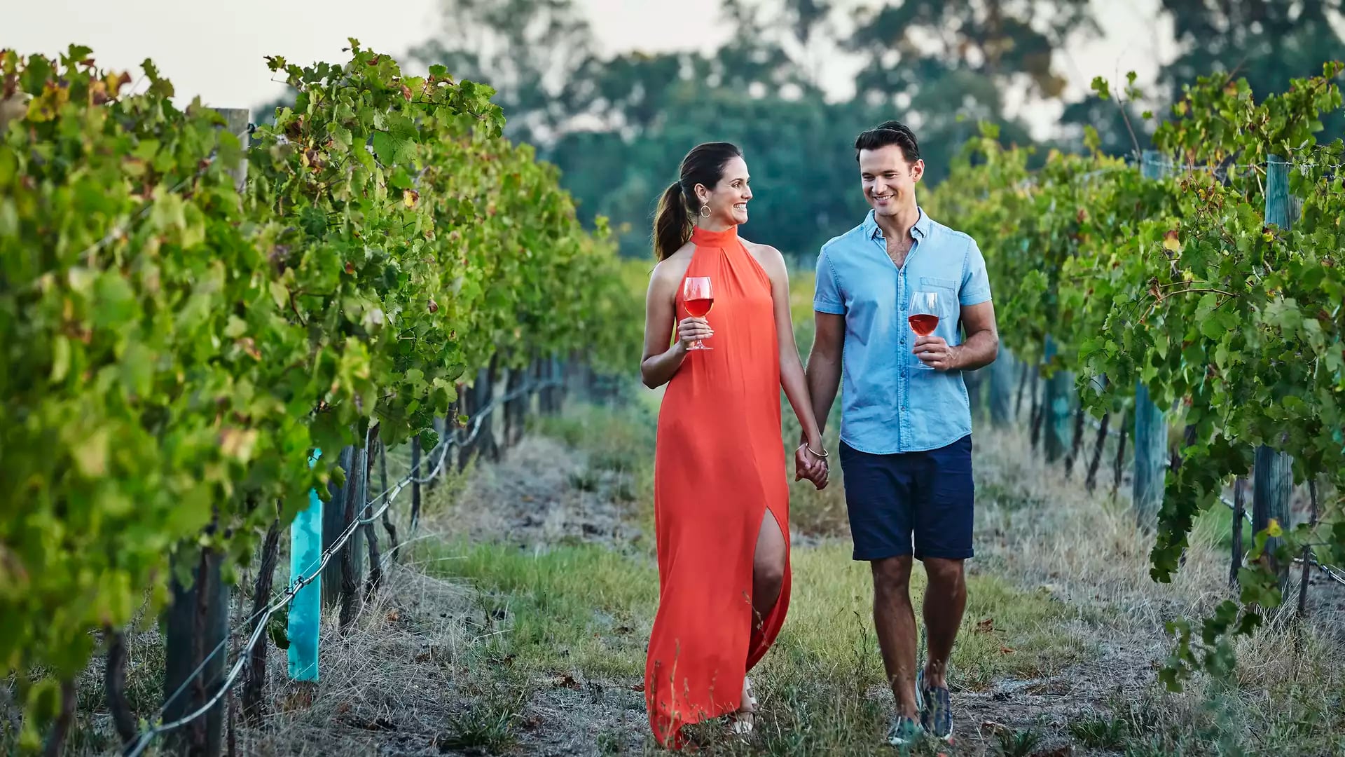A man and woman walking through rows of grapevines at a winery while holding glasses of rose wine.